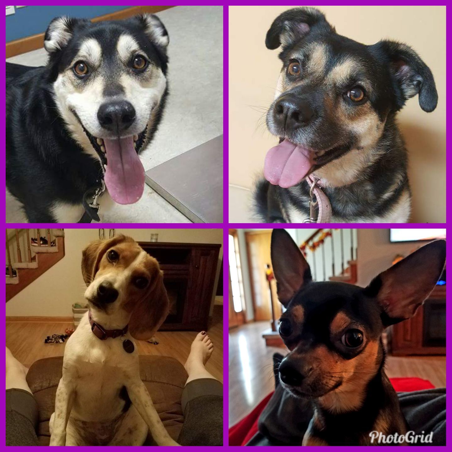 Jax, Sookie, Fallon and Tony